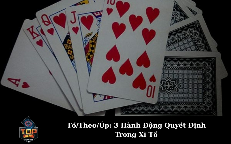 Tố/Theo/Úp: 3 Hành Động Quyết Định Trong Xì Tố